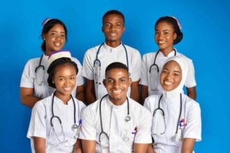 College of Nursing Maiduguri Job Vacancies