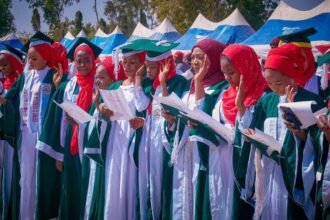 Kano State College of Nursing Community Nursing Form