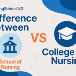 Difference Between School of Nursing and College of Nursing