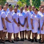 Millennium College of Nursing Sciences Admission Form