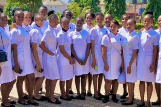 Millennium College of Nursing Sciences Admission Form